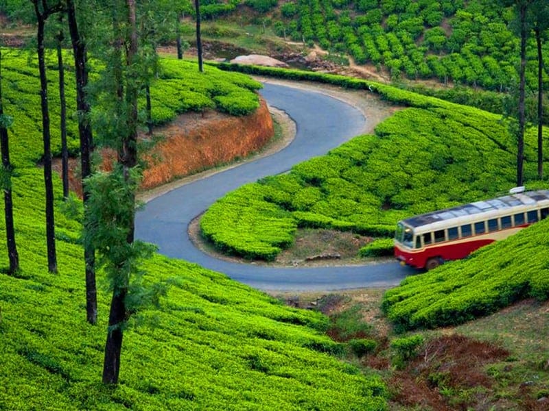 Day 3: Munnar to Thekkady