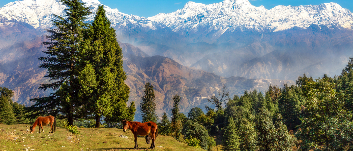 Uttarakhand Tour 